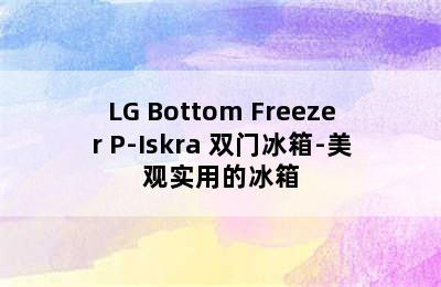 LG Bottom Freezer P-Iskra 双门冰箱-美观实用的冰箱